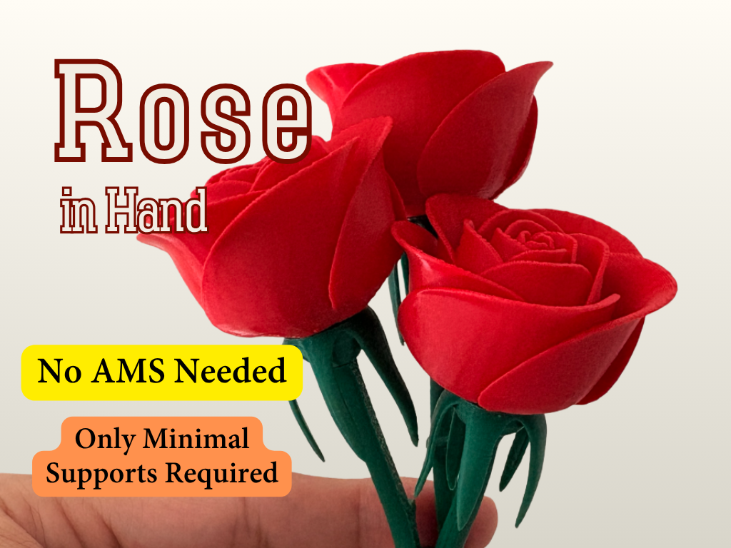 Rose in Hand ( No AMS required)
