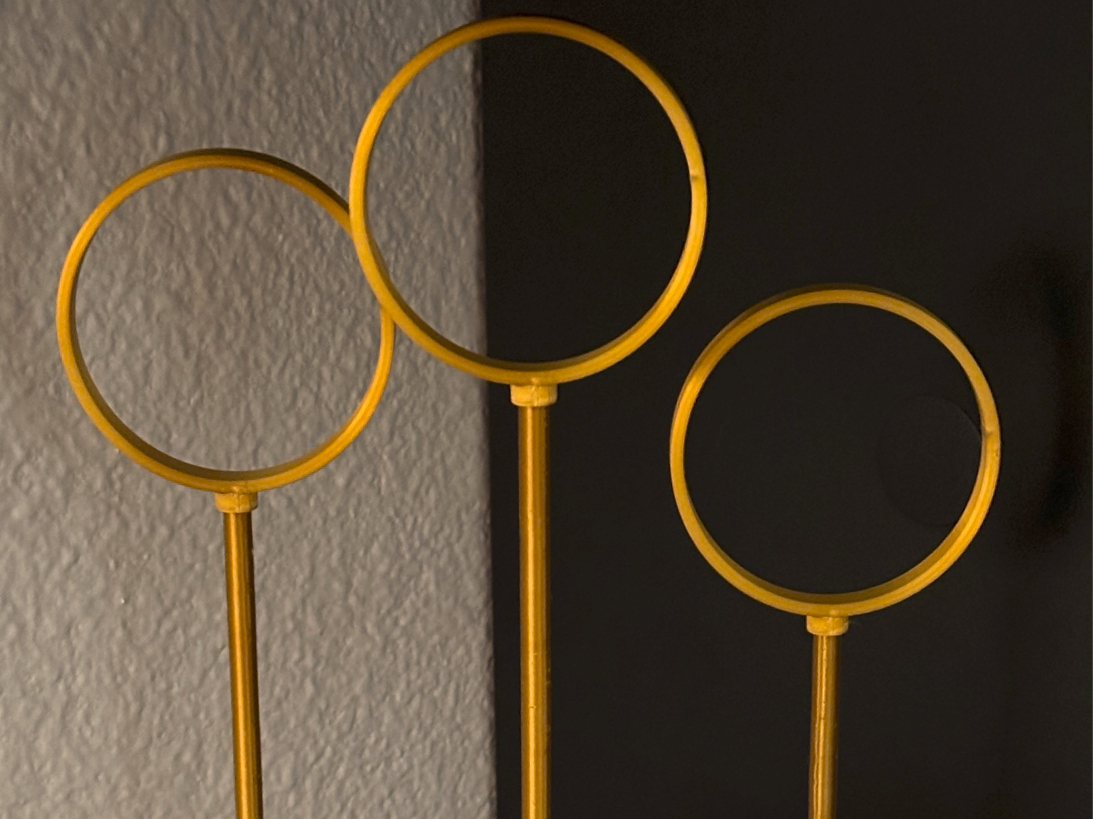 Harry Potter Quidditch Goals