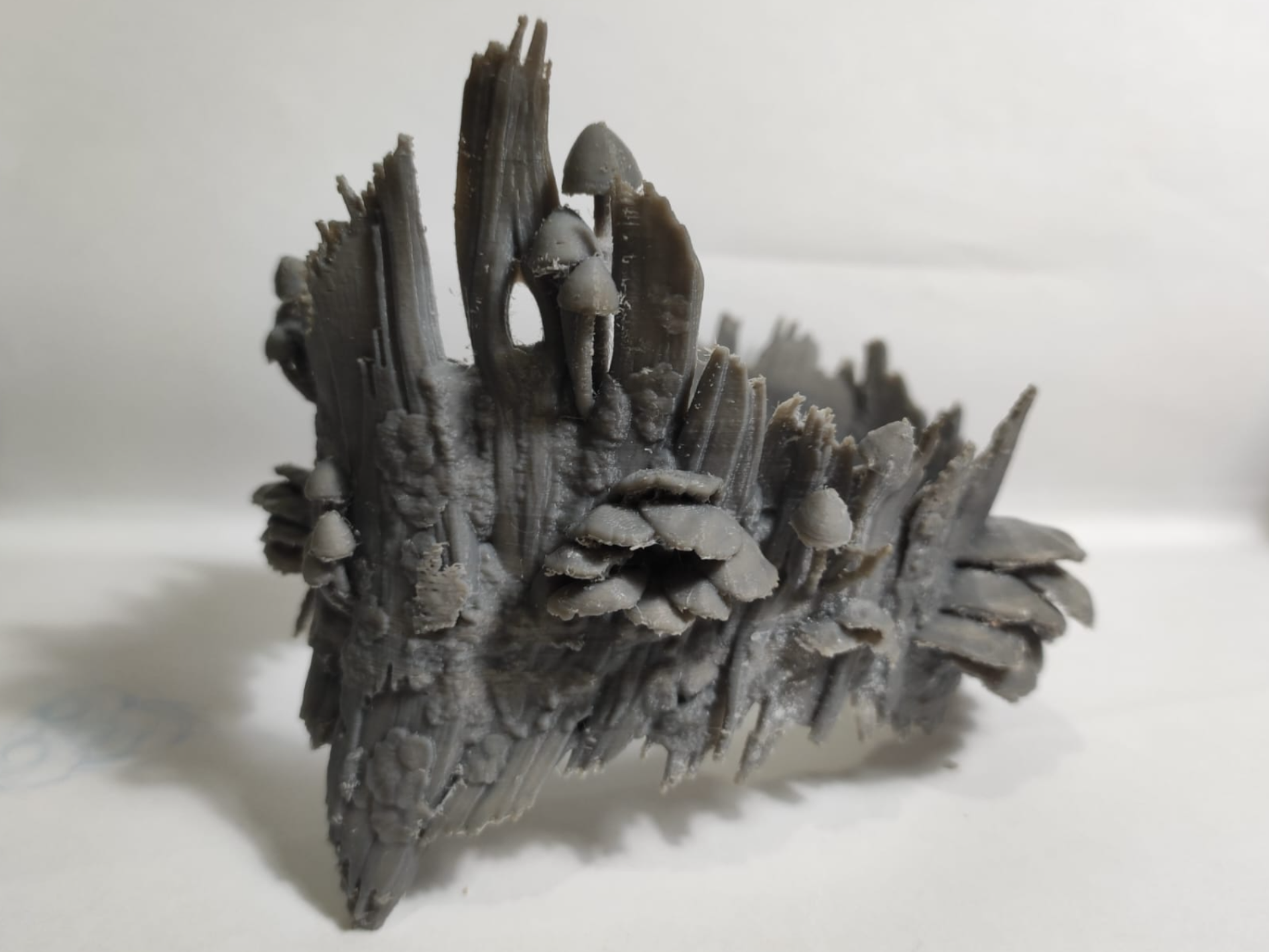 Moss and bark crown