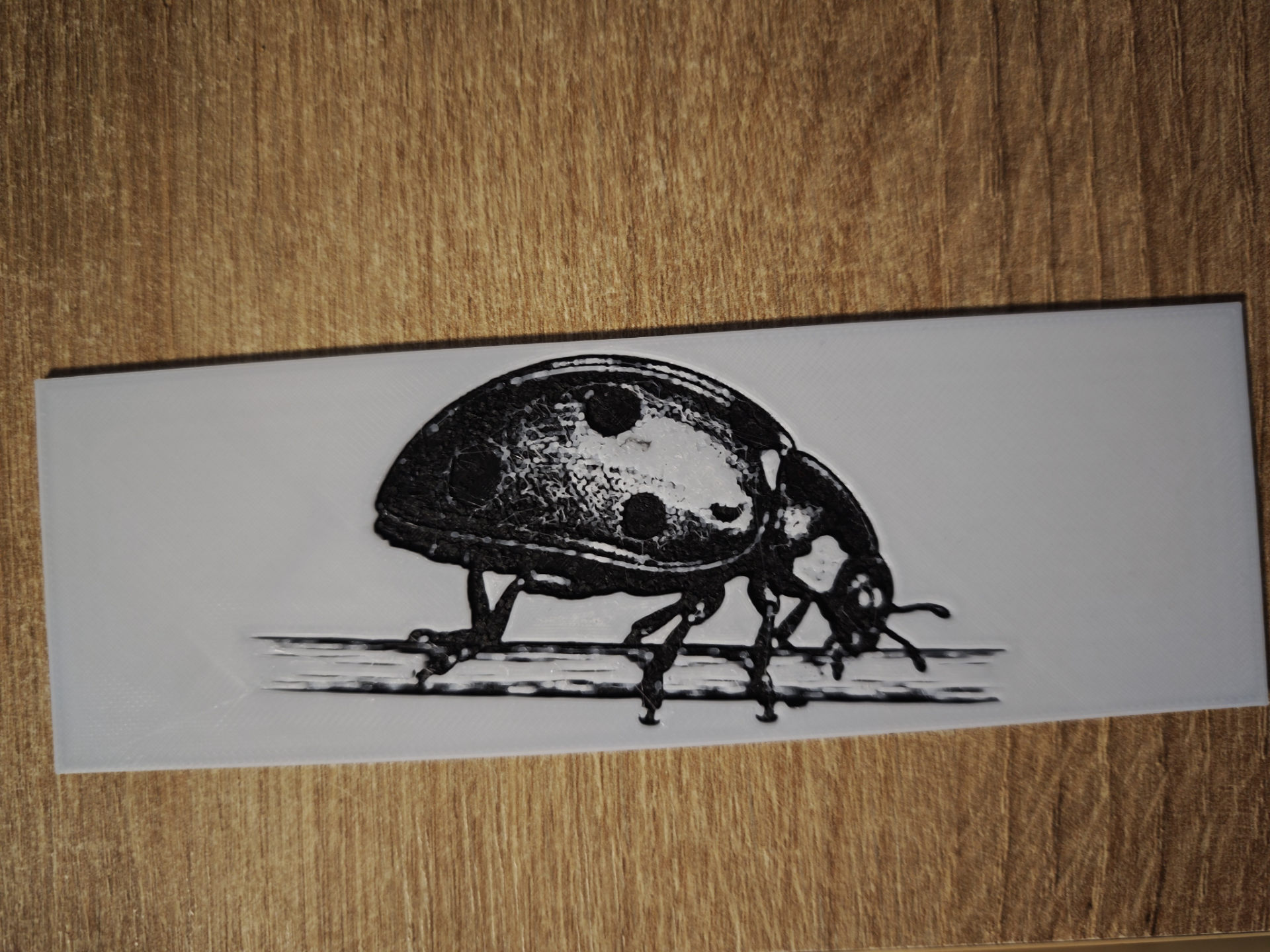 ladybird