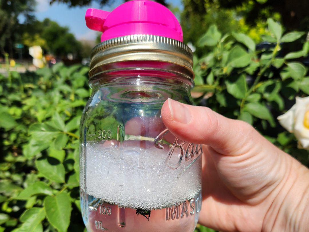 Japanese Beetle Catcher–Chemical-Free Pest Control