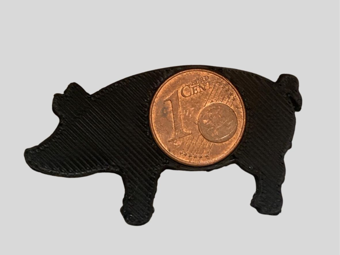 Neujahr - Glücksbringer - Schwein mit Cent - TOP!