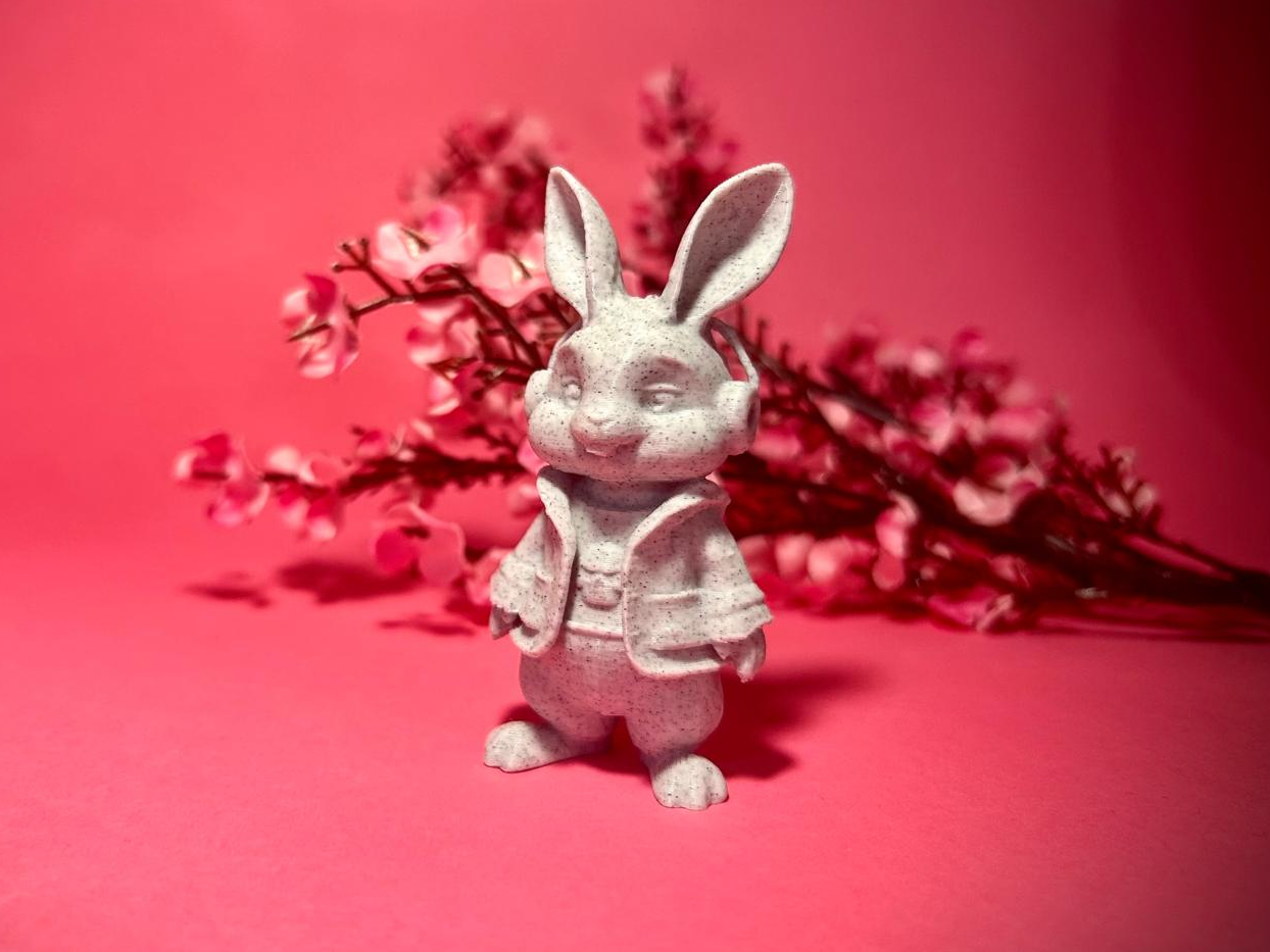 Bunny