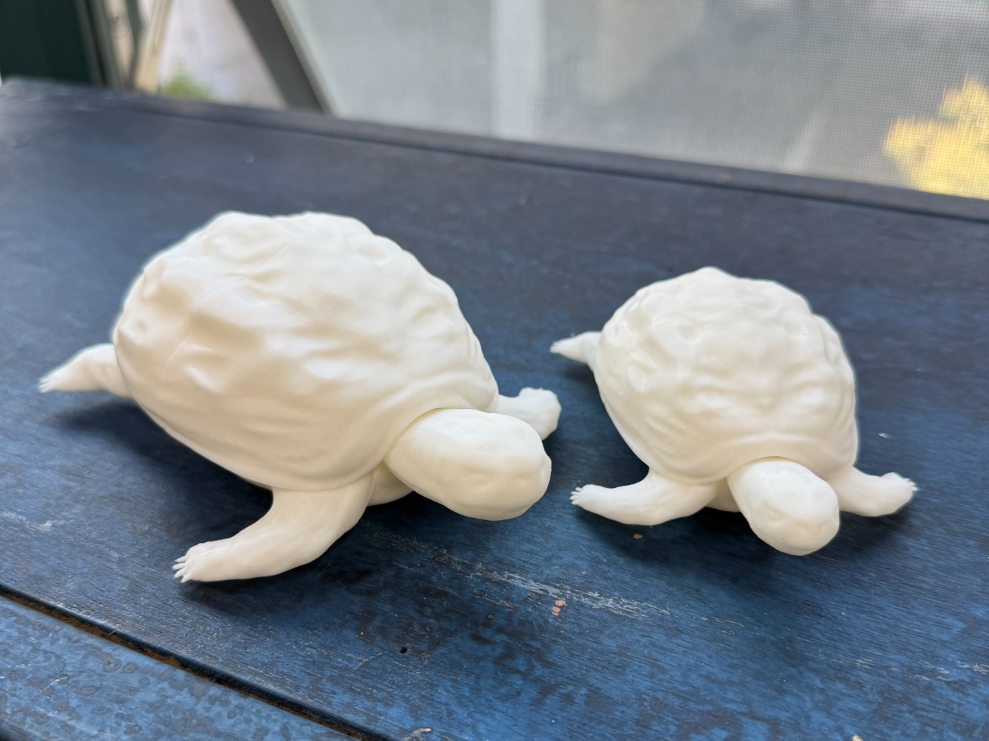 turtles_detailed modeling