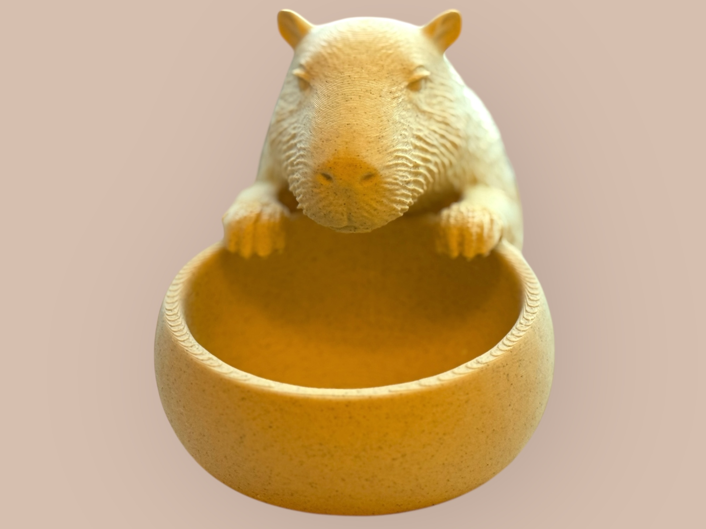 Gentle Bowl Capybara - Organizer