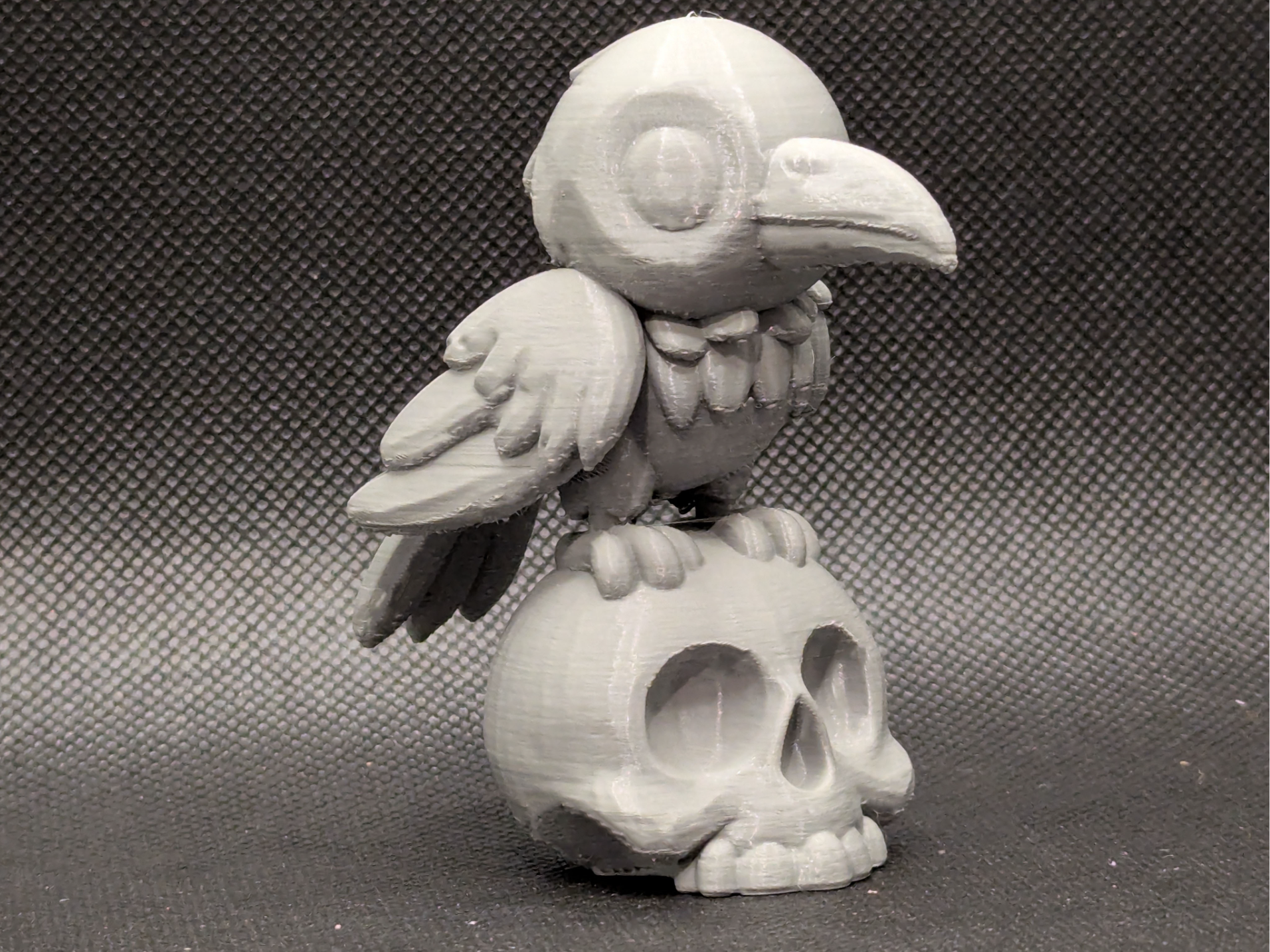 Cute crow on a skull