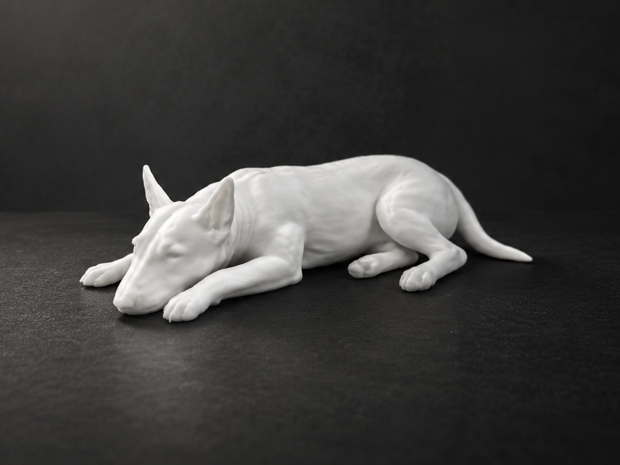 Bull Terrier - Animal - Dog