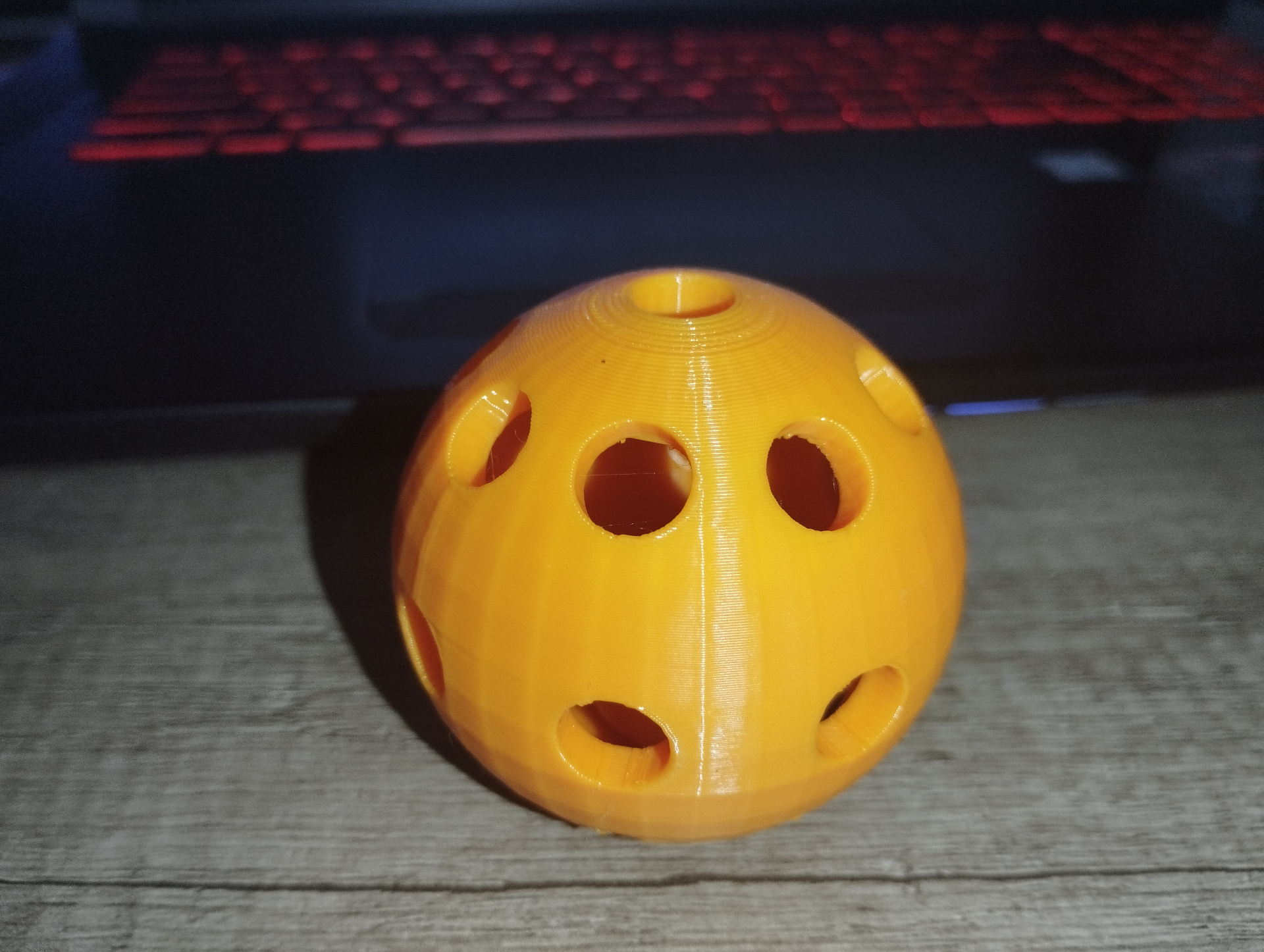 Cat toy