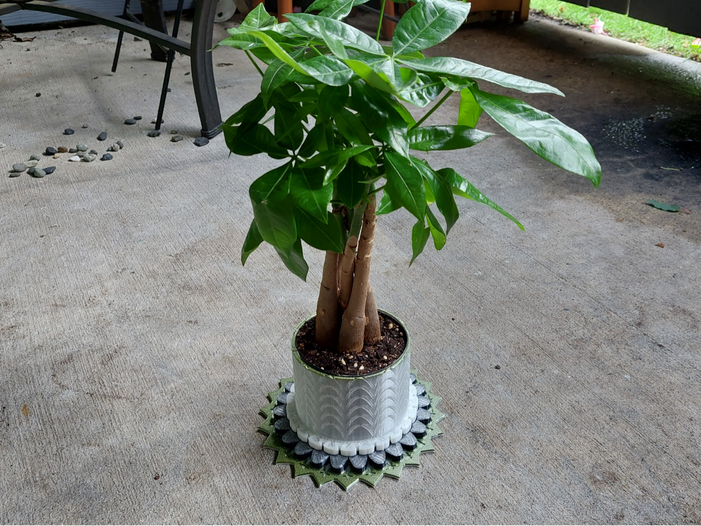 Dragon Scale Mandala Planter