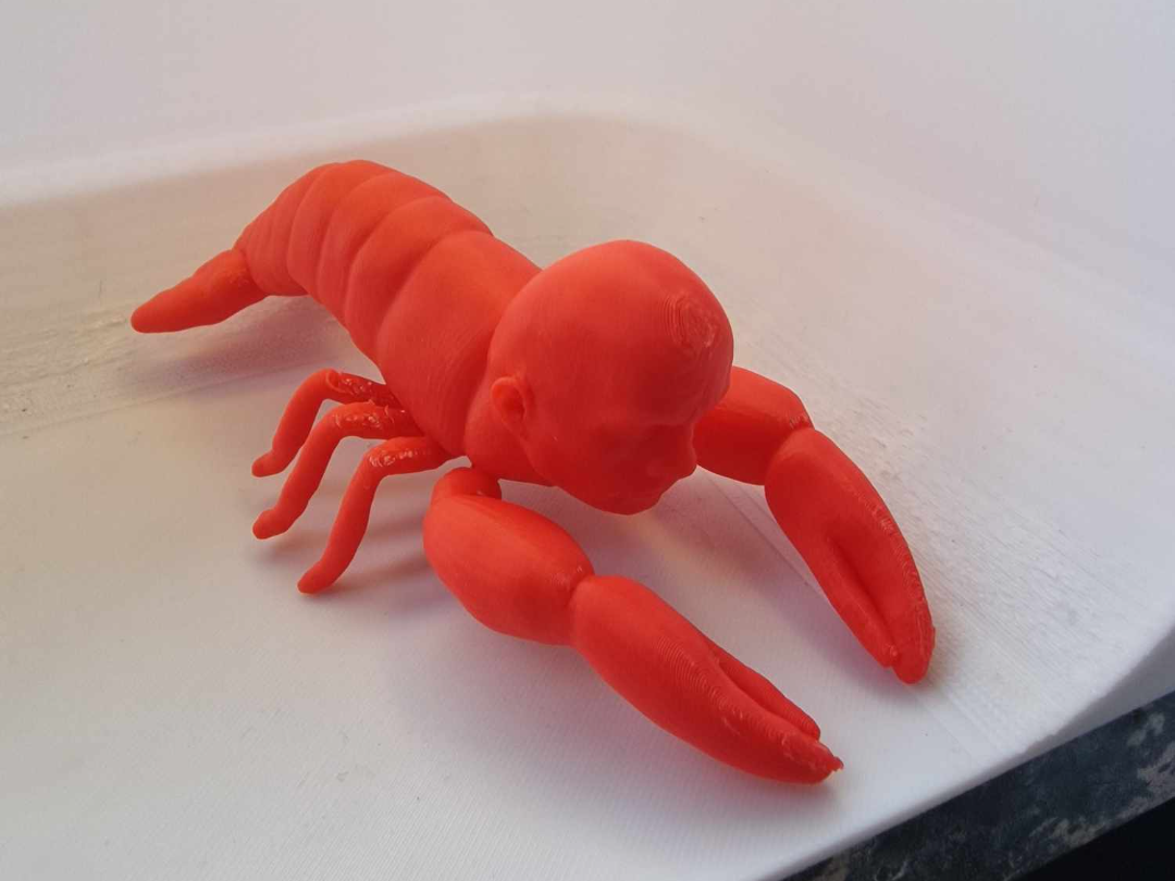 Rock Lobster