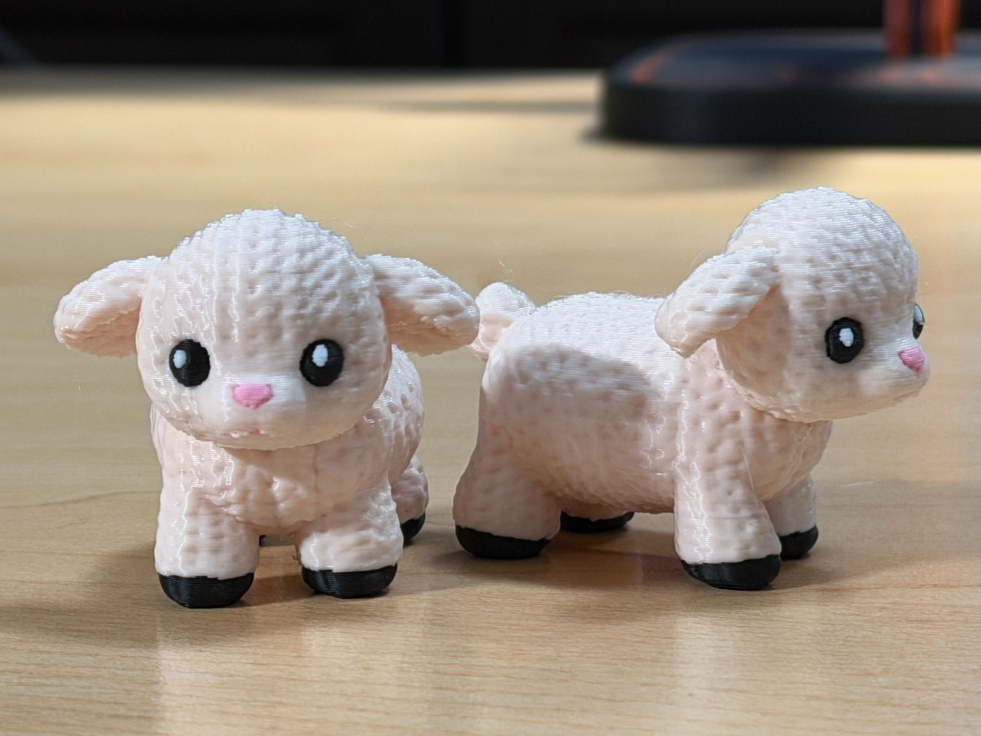 Wooly Lamb