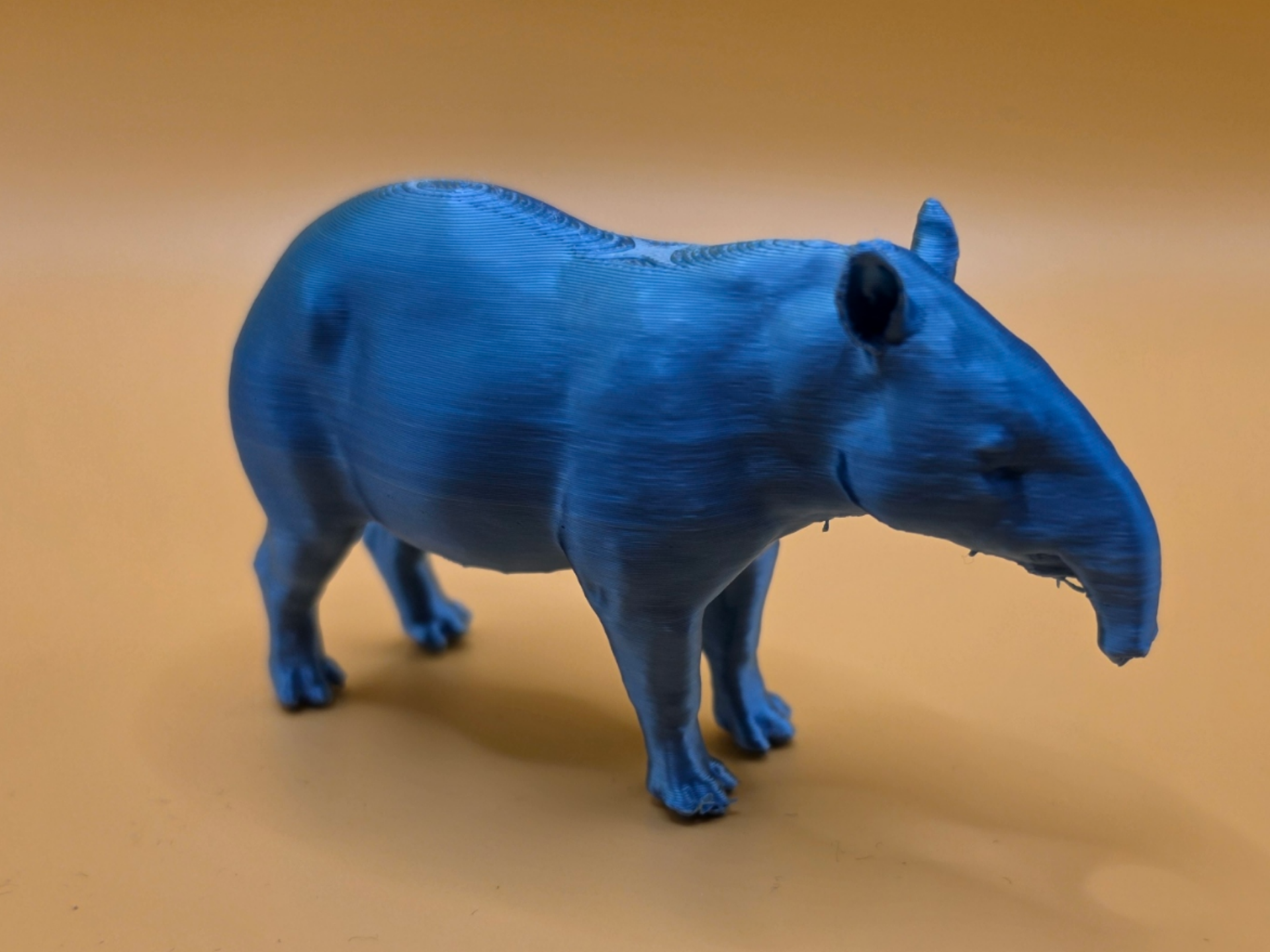 Realistic Tapir – Easy Print Animal Model