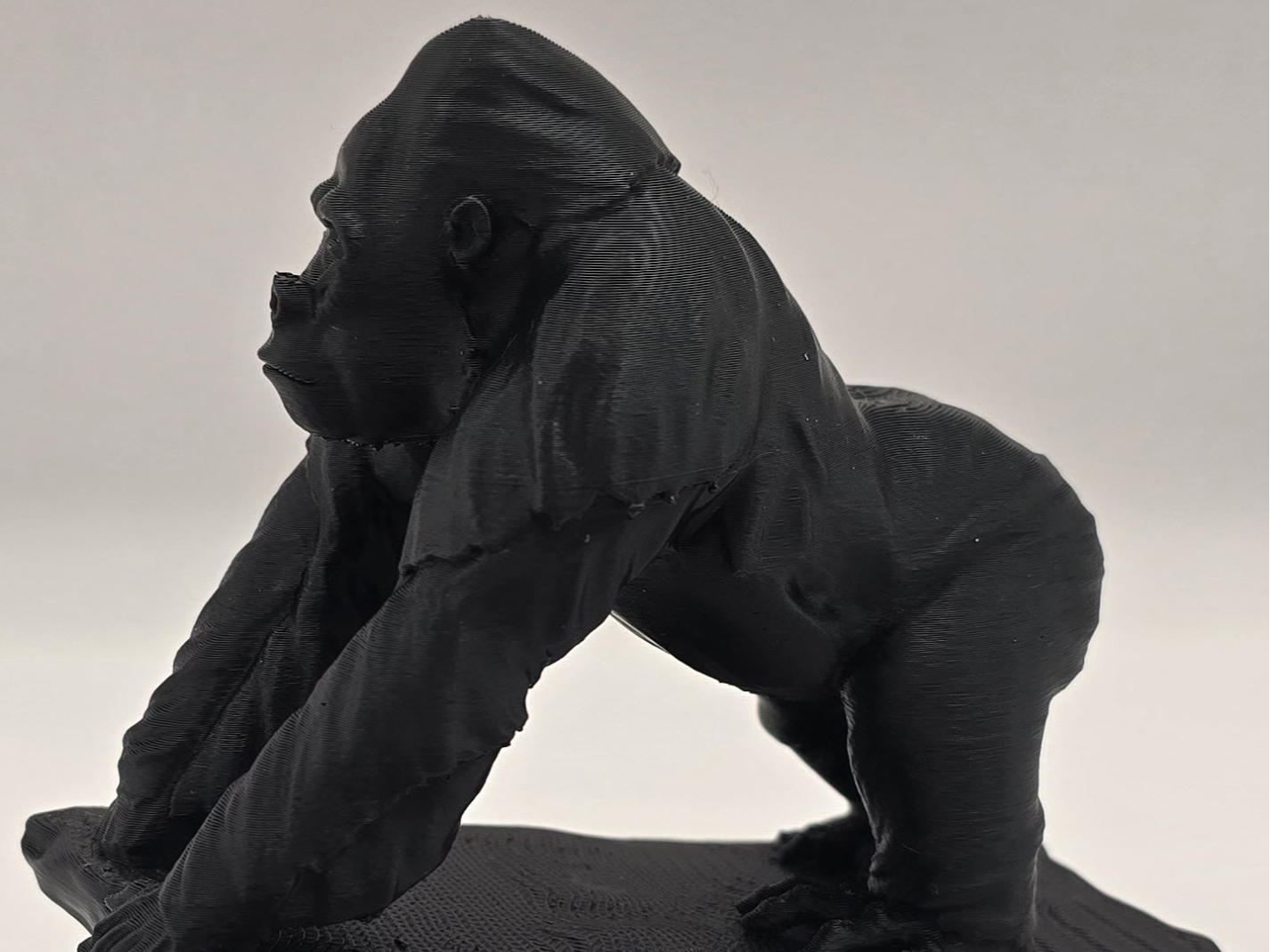 Gorilla