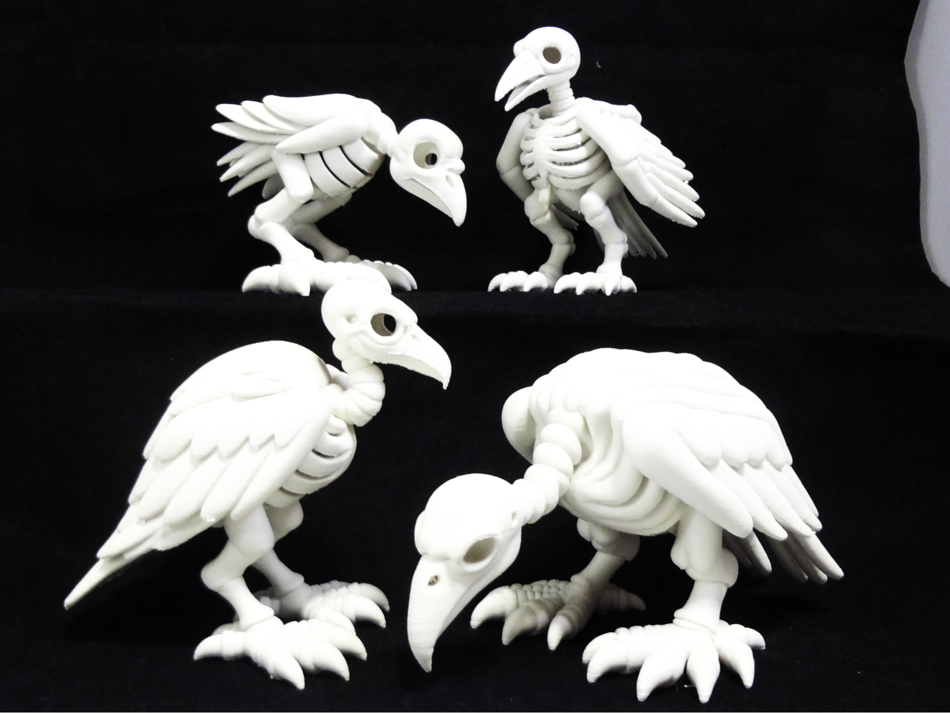 Salems Lot Series Ossuary Flock