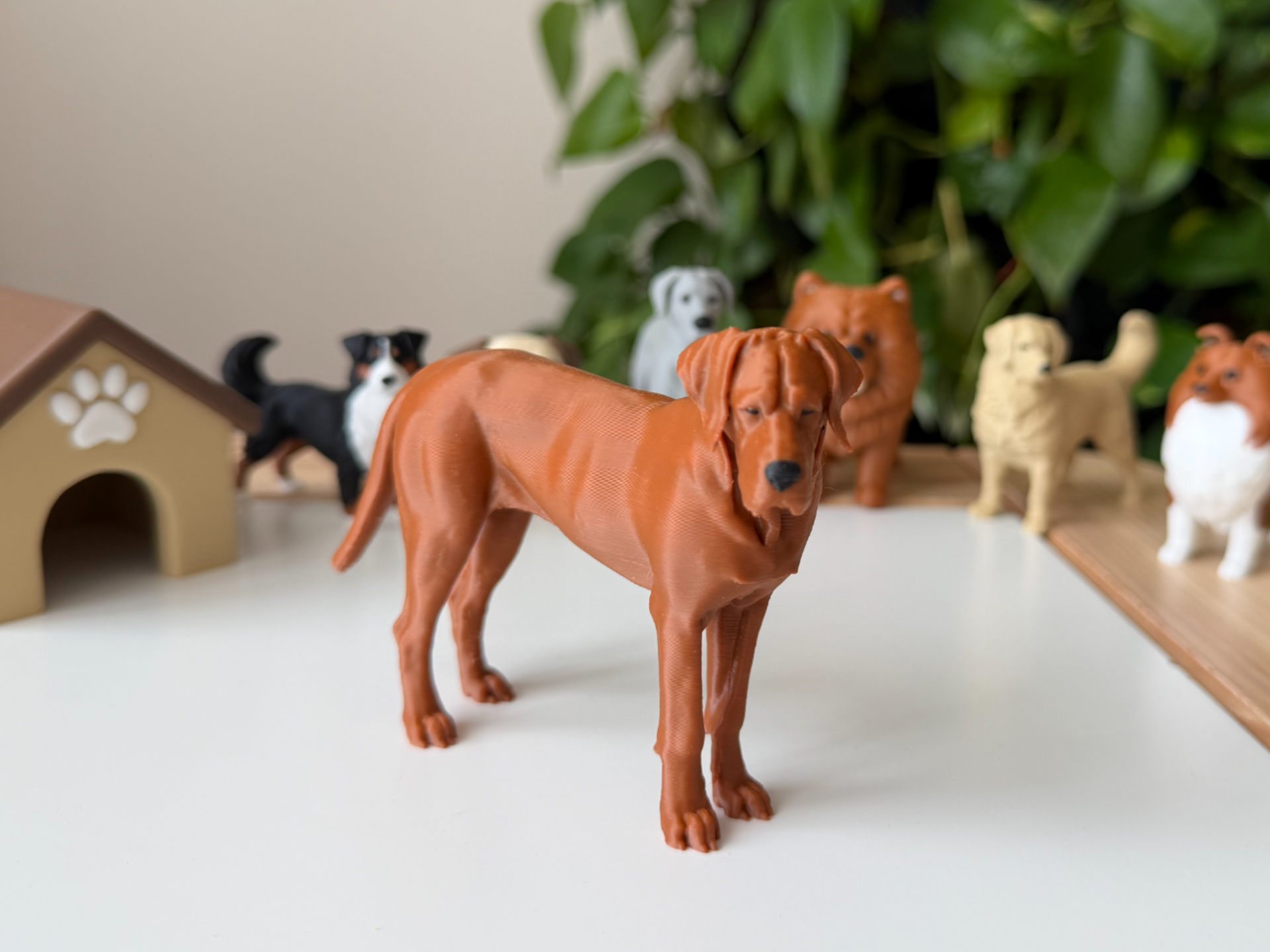 Tosa Inu