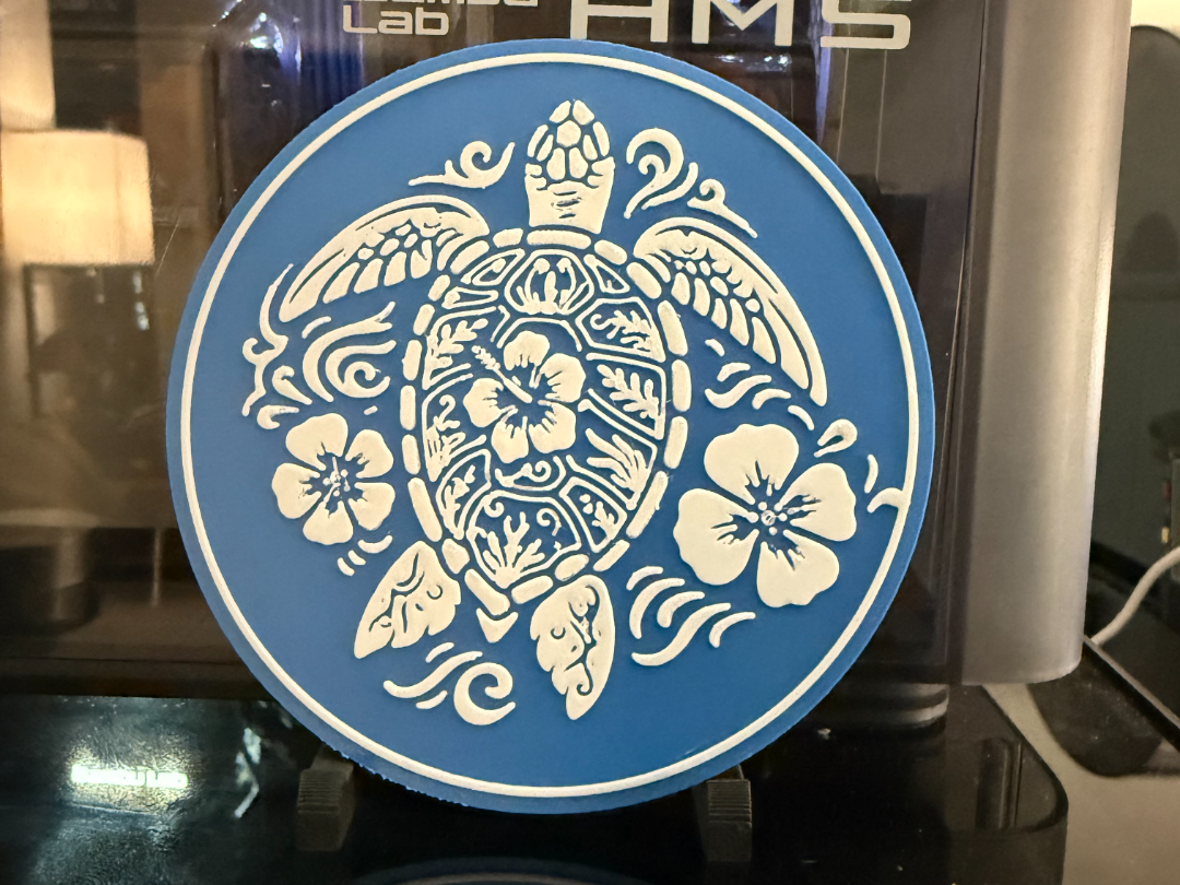 SEA TURTLE COASTER