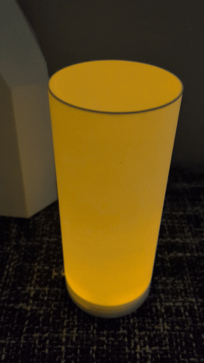LED Desk Lamp with Shades