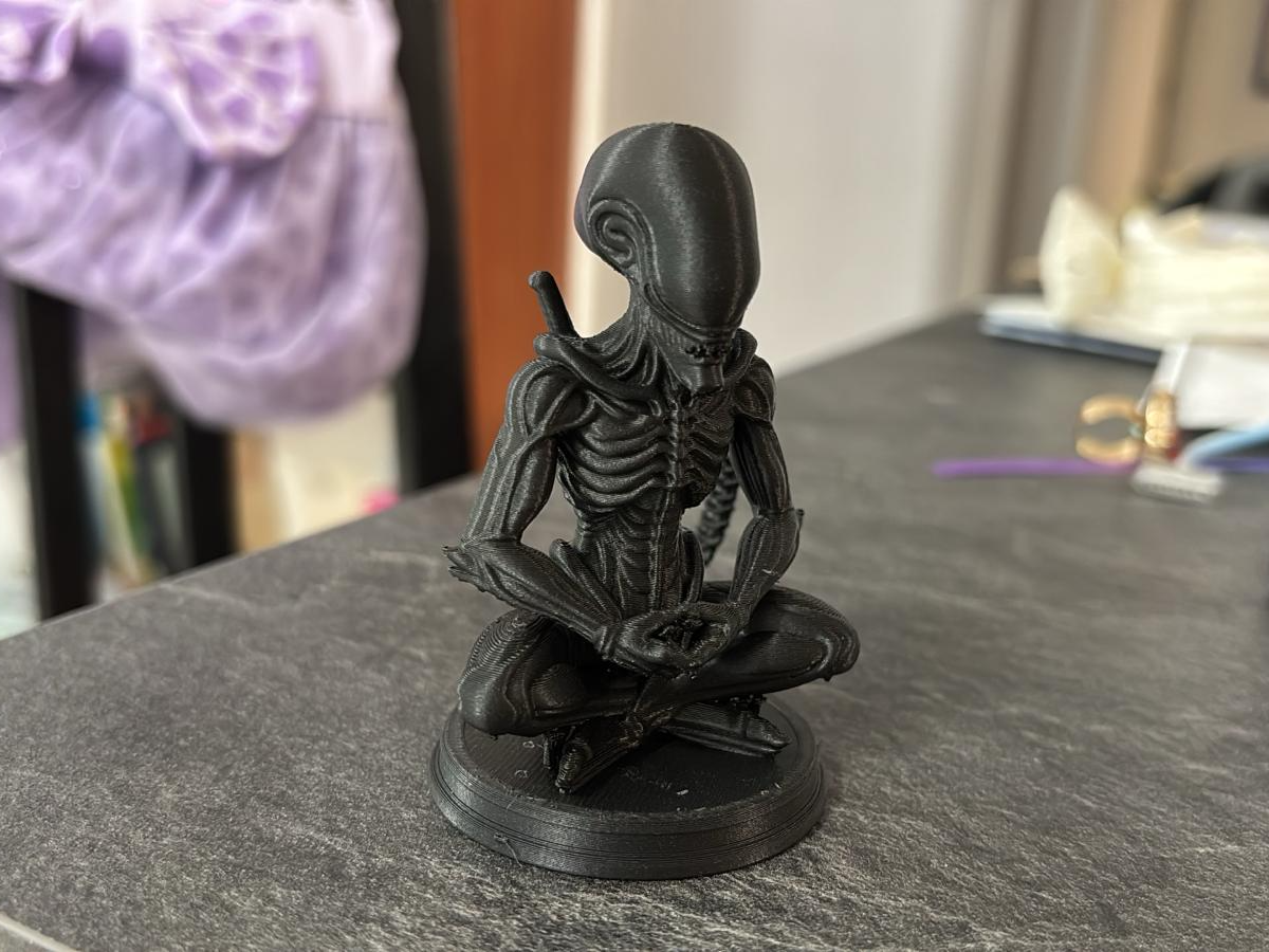 Yoga Alien