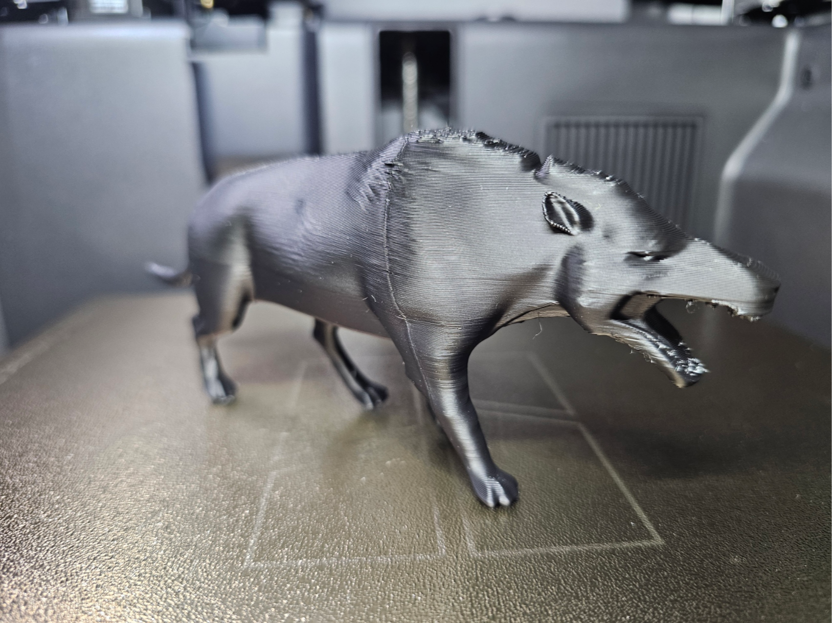 Andrewsarchus – Prehistoric Predator Tiere a Zeit