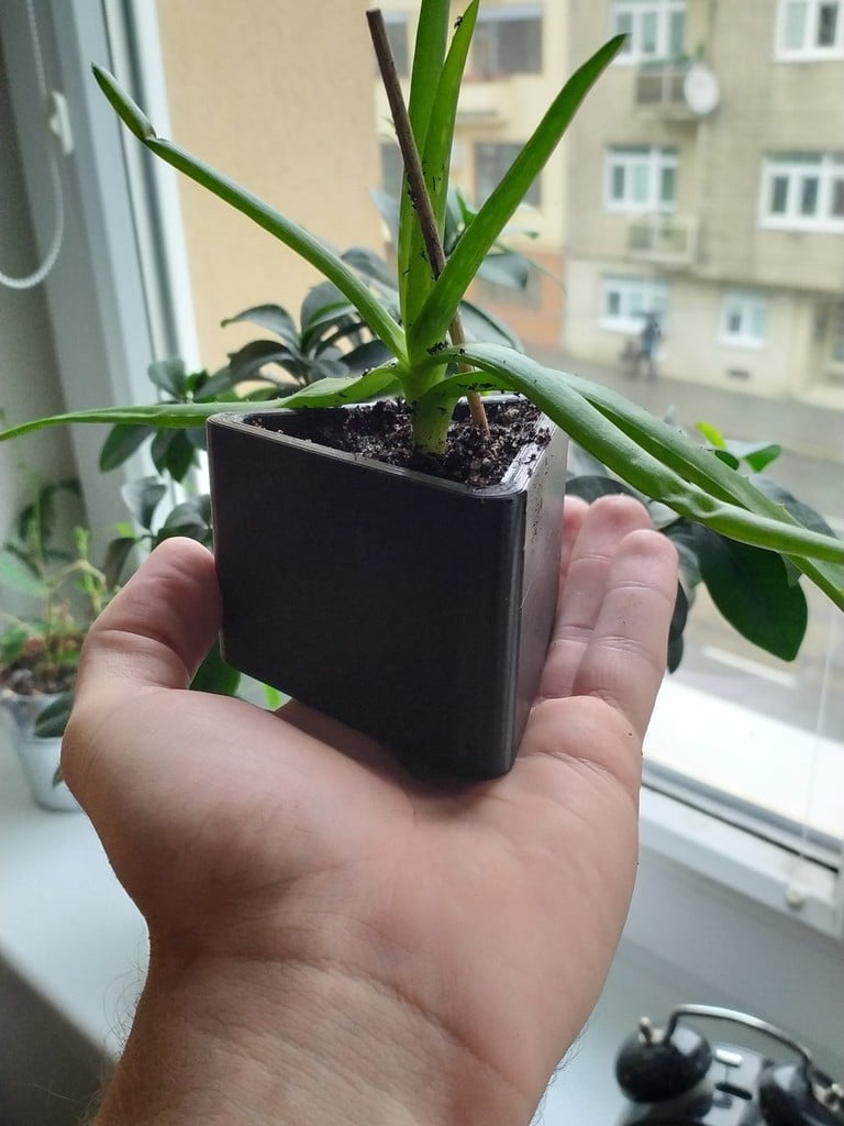 Succulent planter triangle
