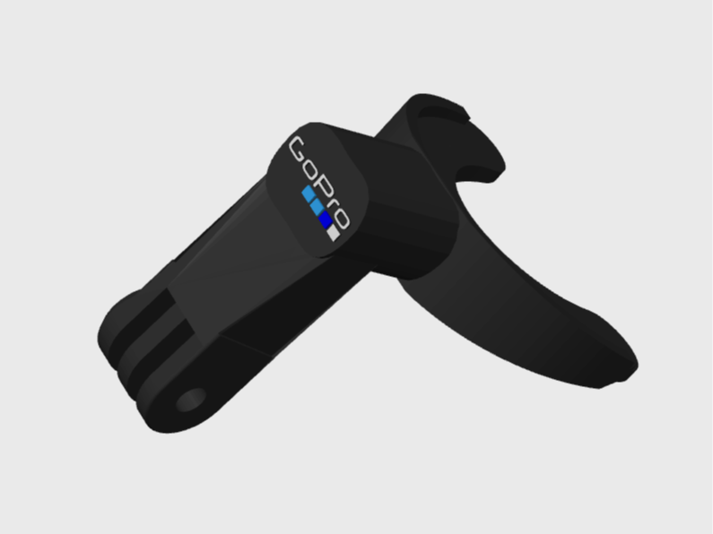 gopro mouth mount