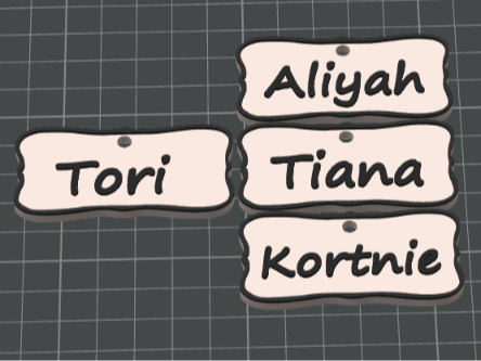 Customizable Name tag