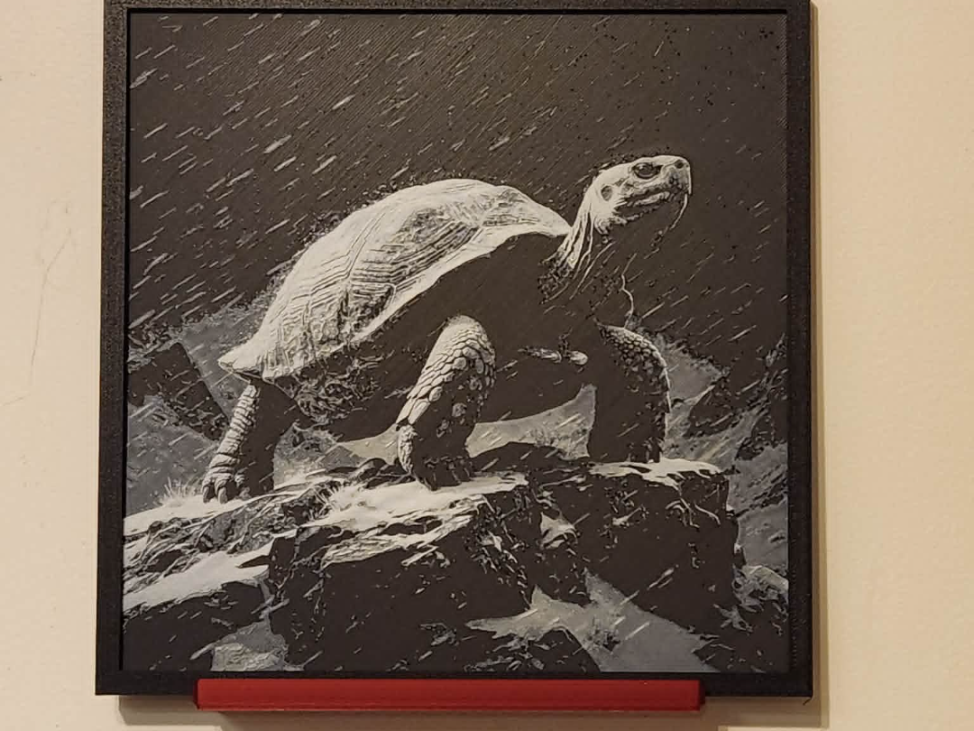 Rain Tortoise HueForge