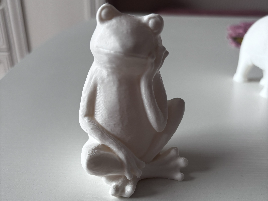 Thinking frog