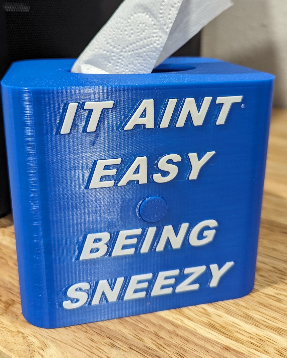 Tissue Holder from Toilet Paper Roll