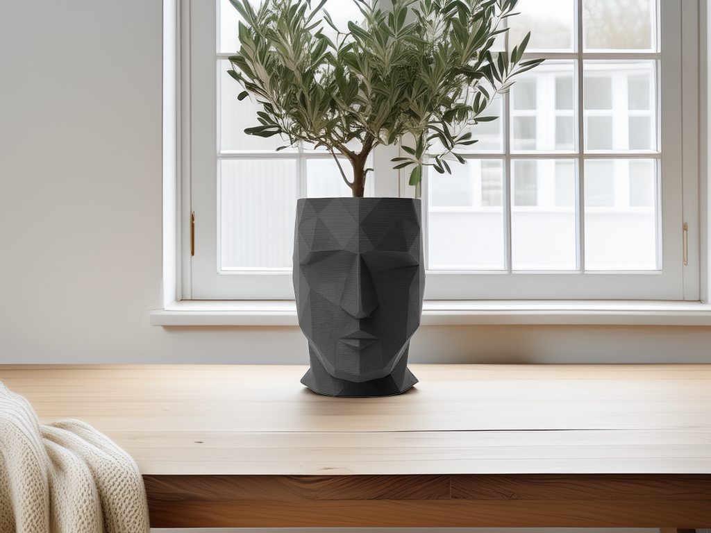 Low Poly Face