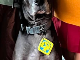 Scooby Doo Dog Tag