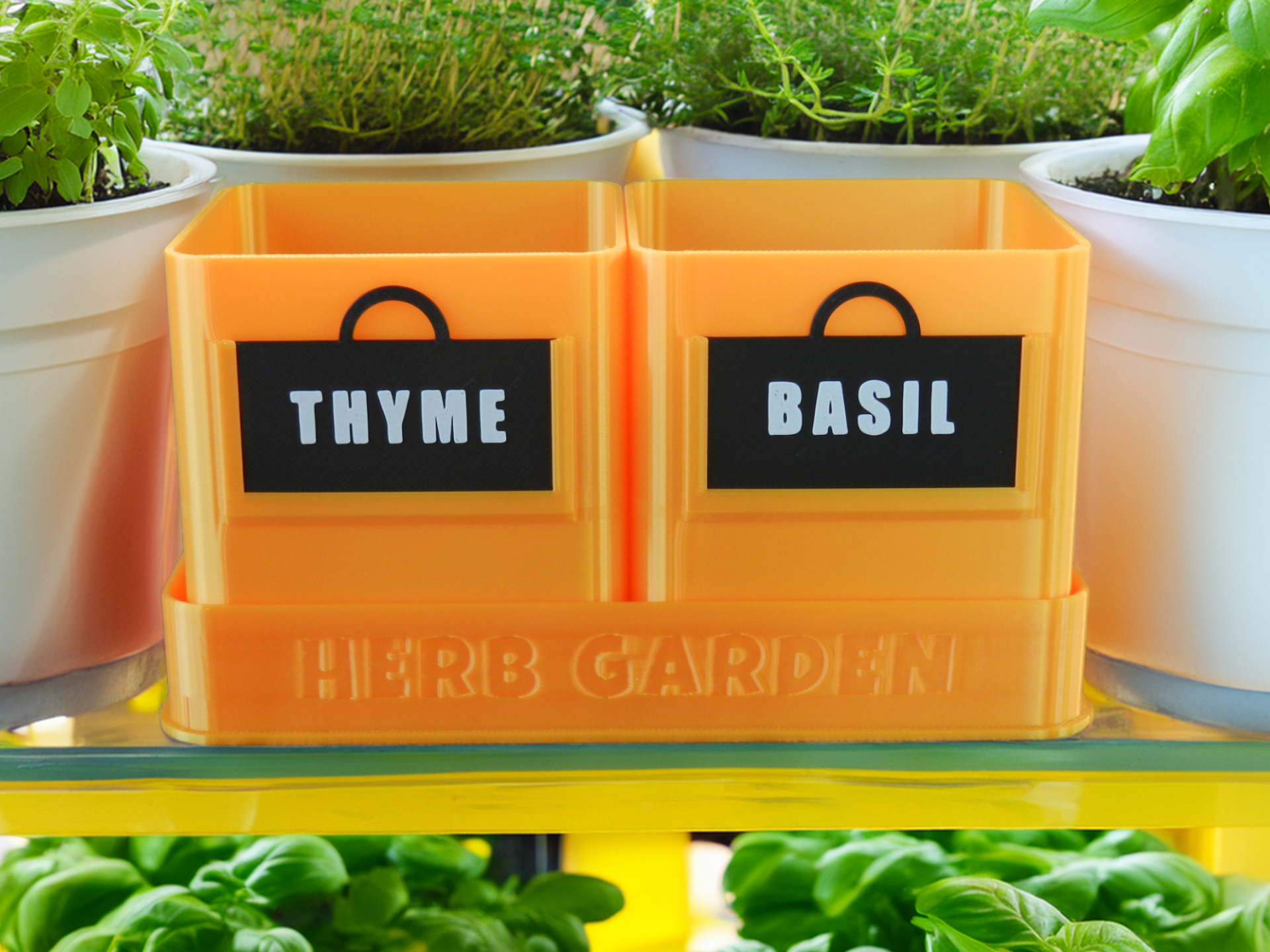 Kitchen Herb Pots