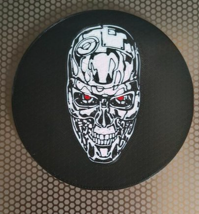 Terminator Coaster