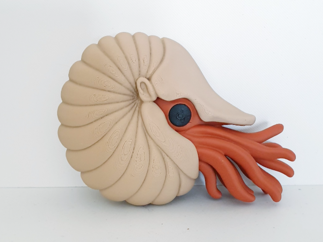 Nautilus Figurine