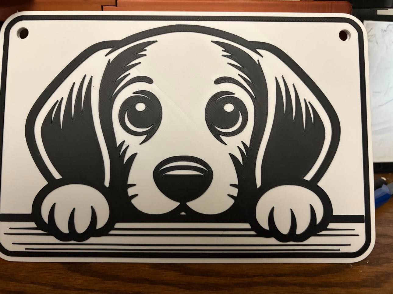 coon hound