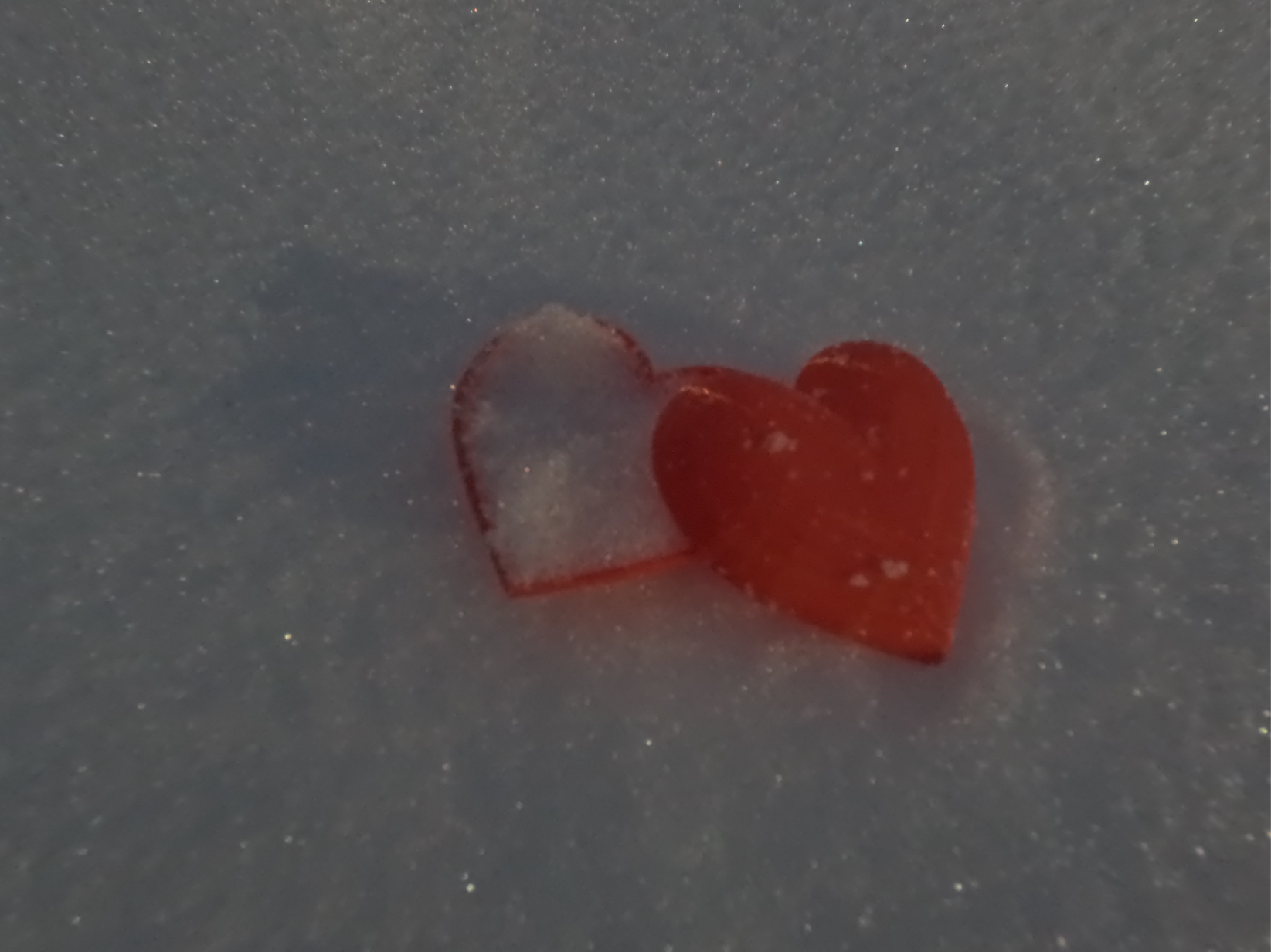 Heart Snow Mold