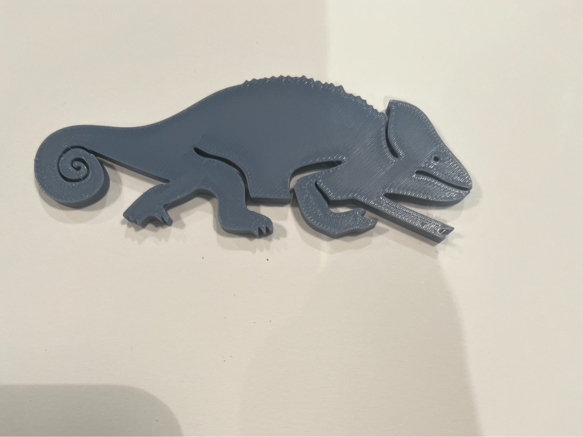 Chameleon