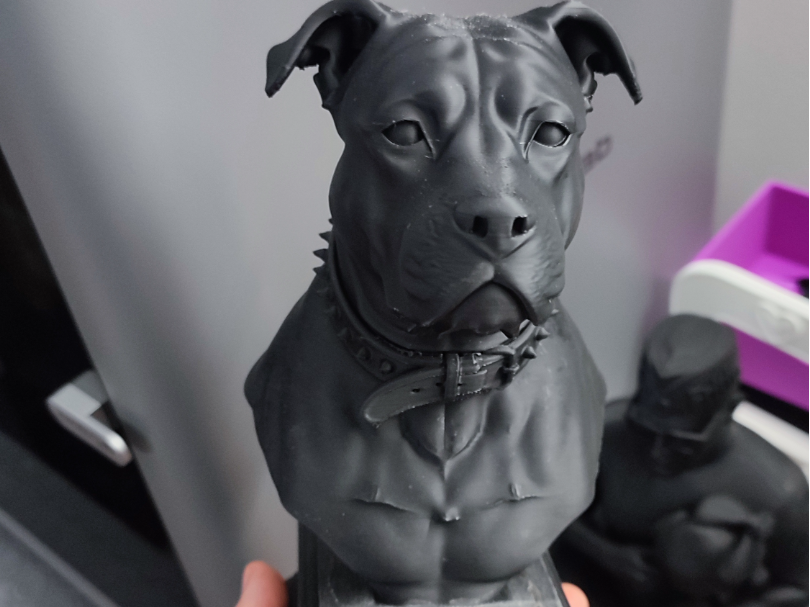 pitbull statua