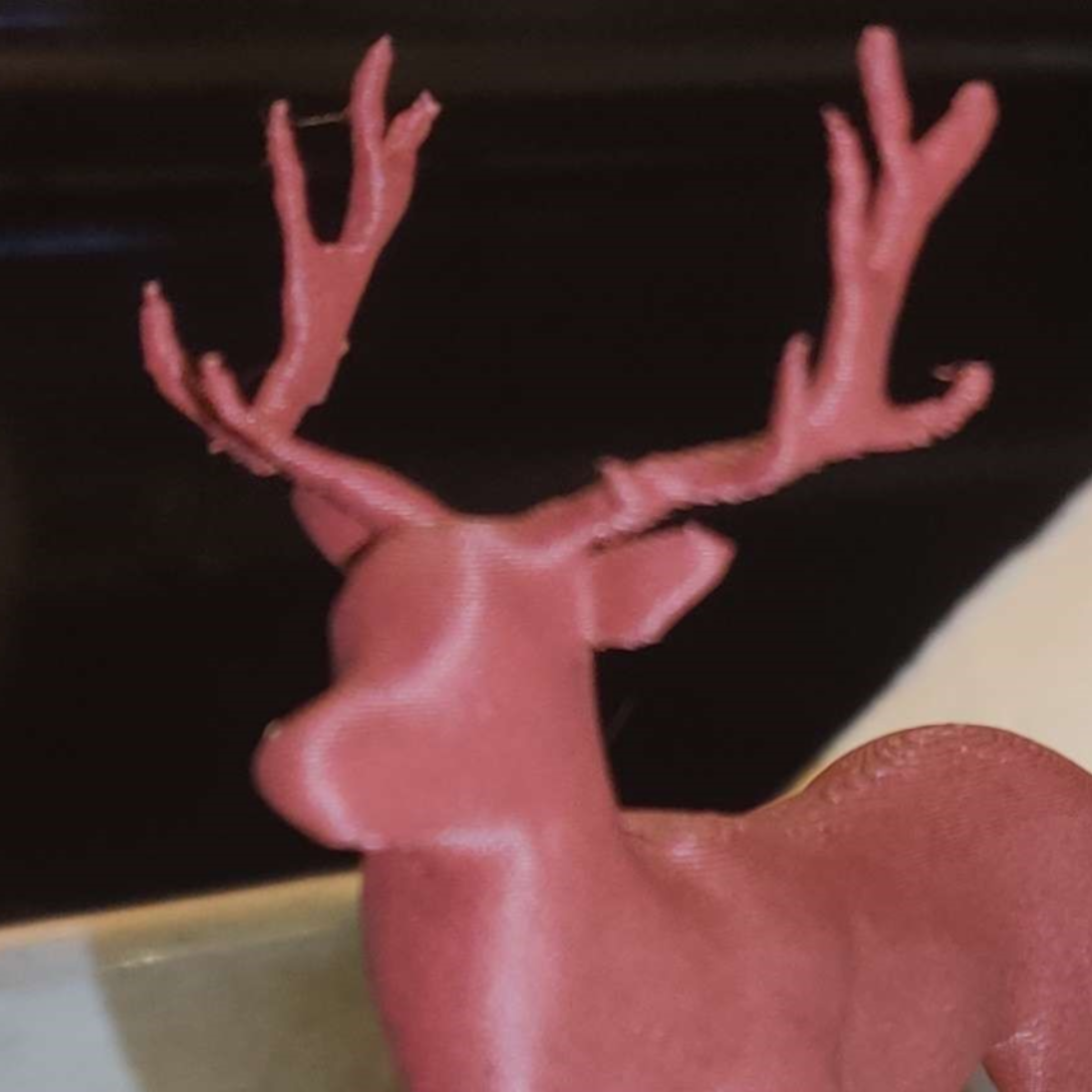Deer with antlers
