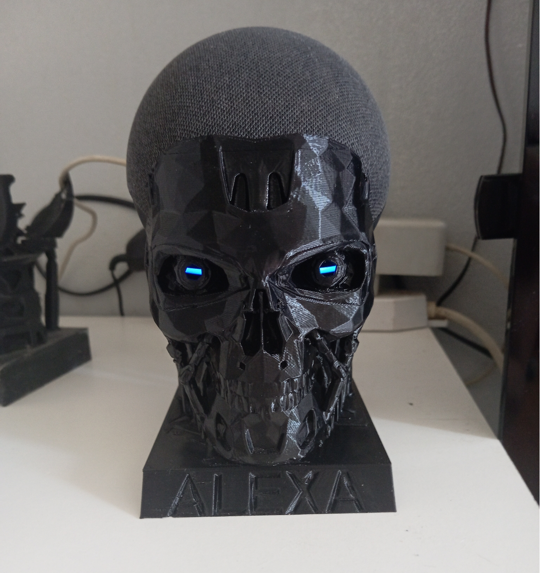 T800 alexa skull