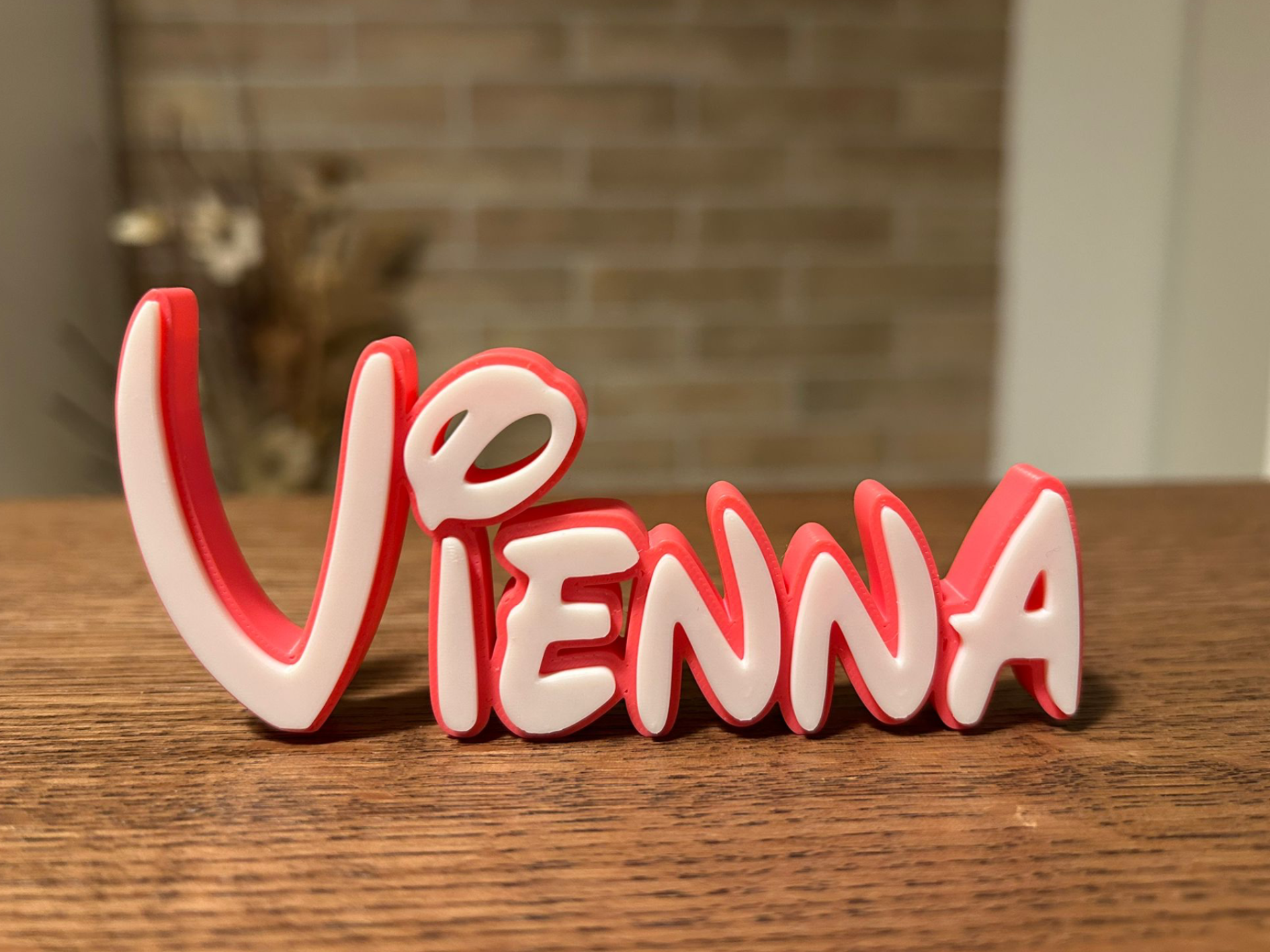 Vienna Name Disney Sign