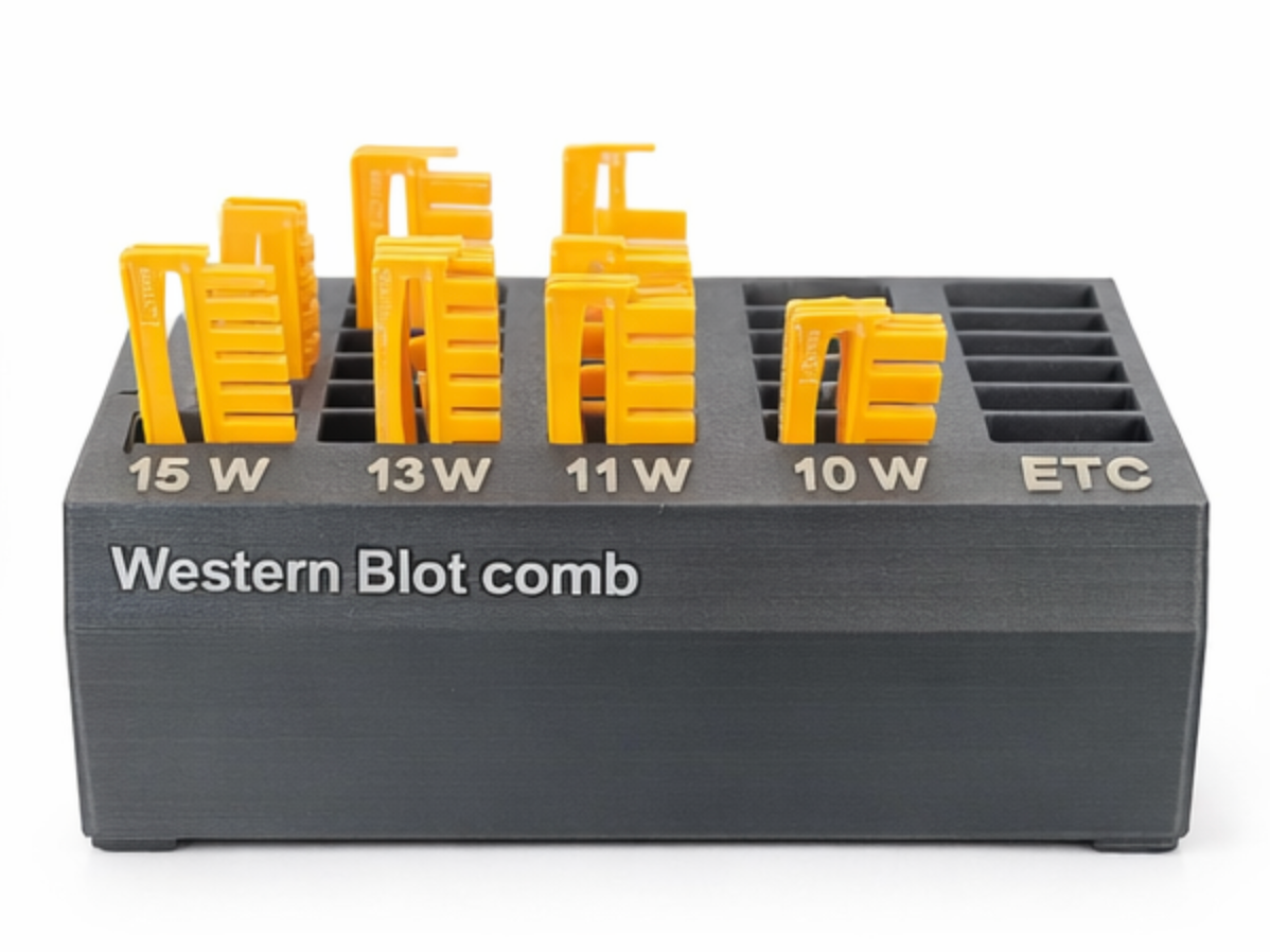 Western blot comb stack box