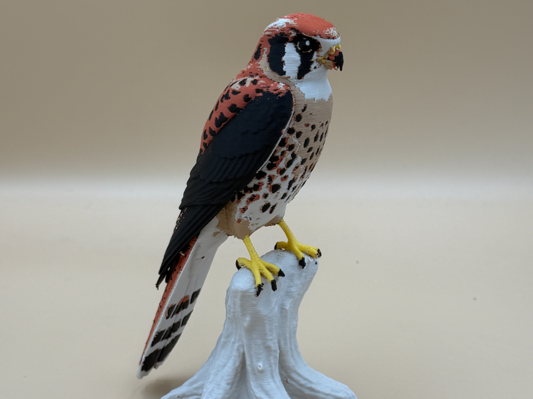 Skyfire Sparrow Hawk ( Kestrel)
