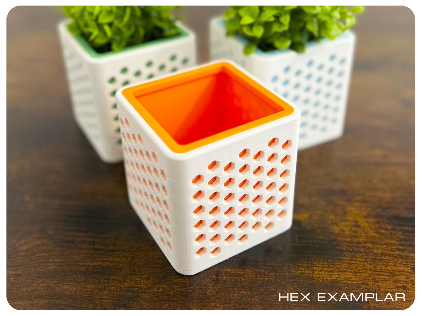 Hex Exemplar - Mini Planter