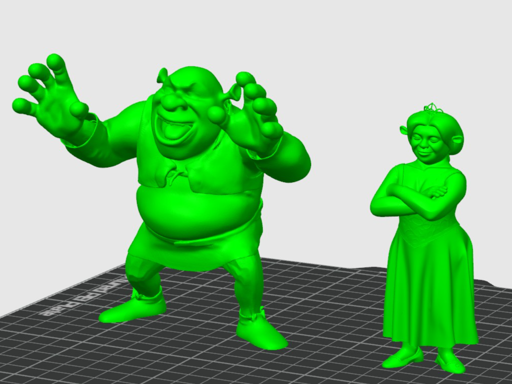 Shrek and Fiona