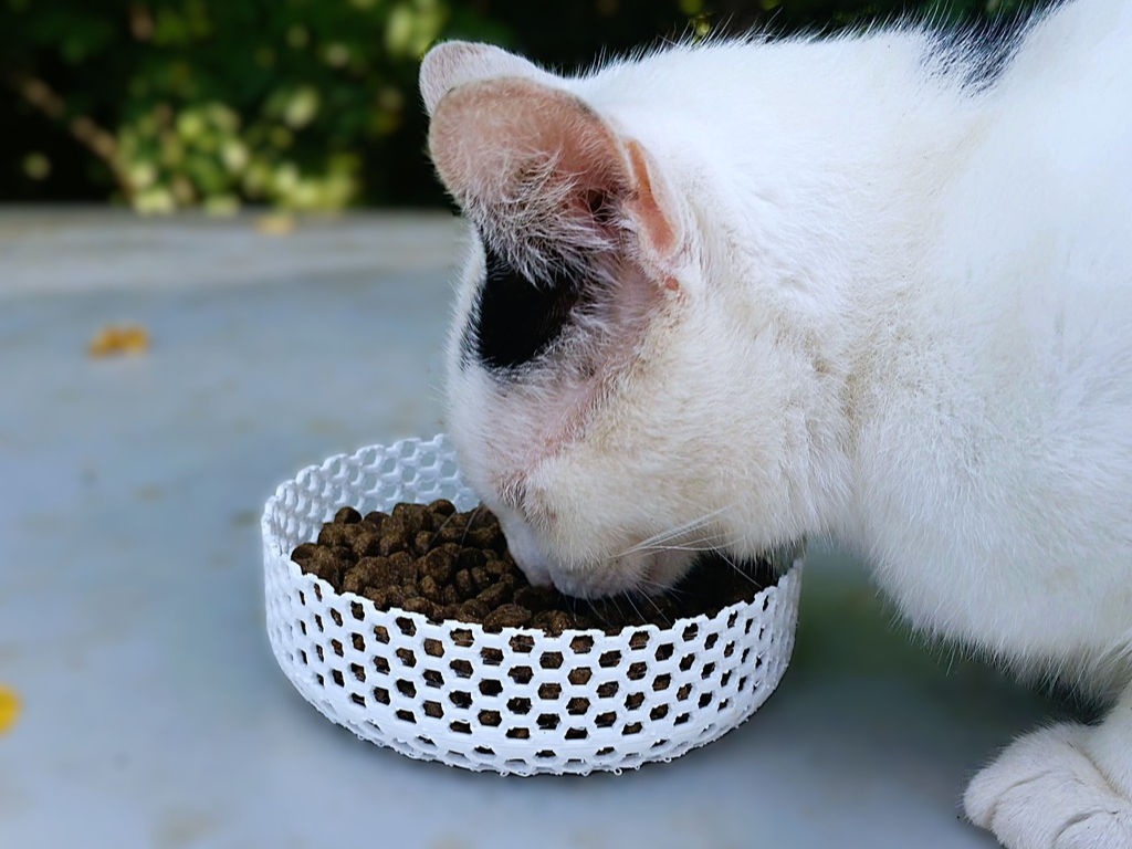 Honeycomb Food Bowl