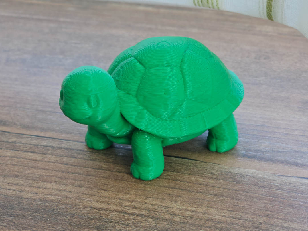 Cute Turtle | Pretty Animal Model