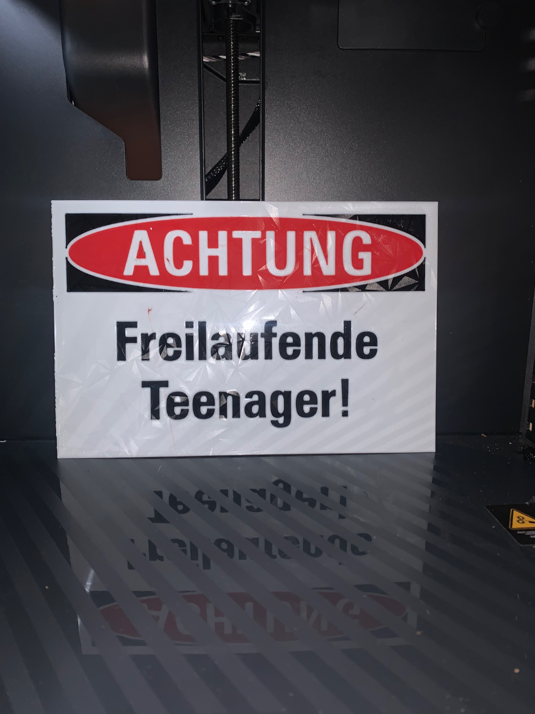 Lustiges Schild: Achtung freilaufende Teenager