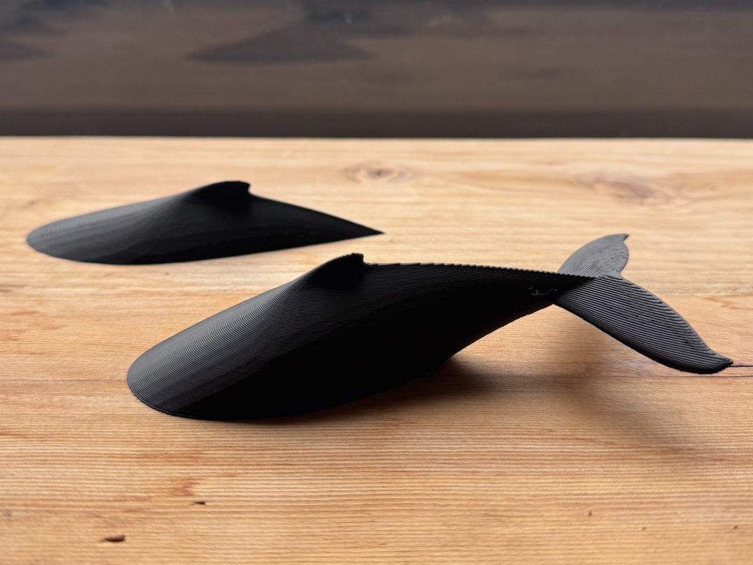 Whale Backs