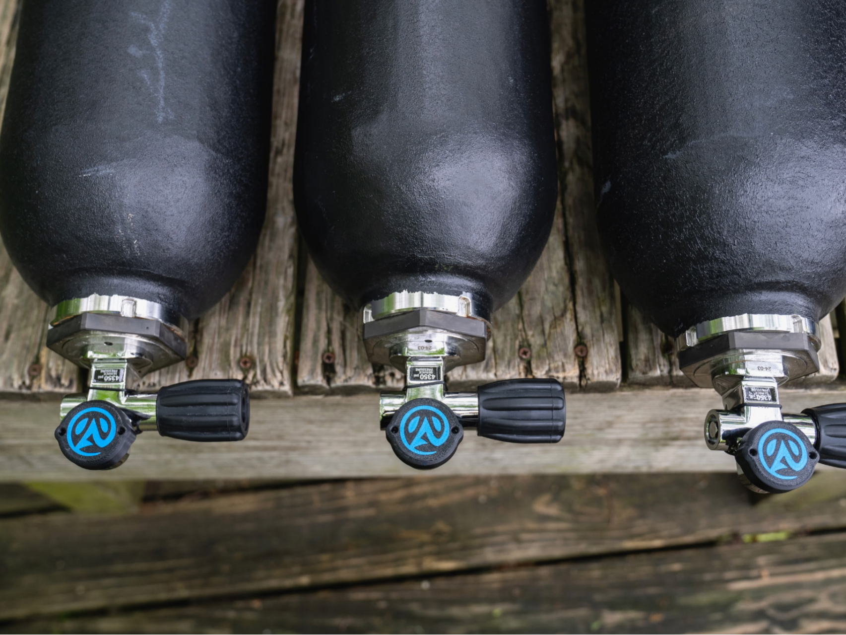 Avelo Dust Cap